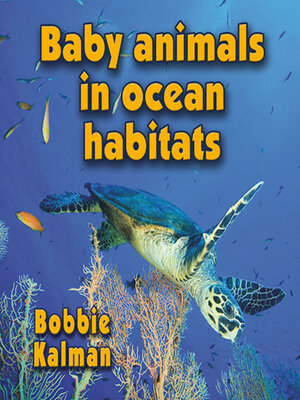 cover image of Baby animals in ocean habitats
